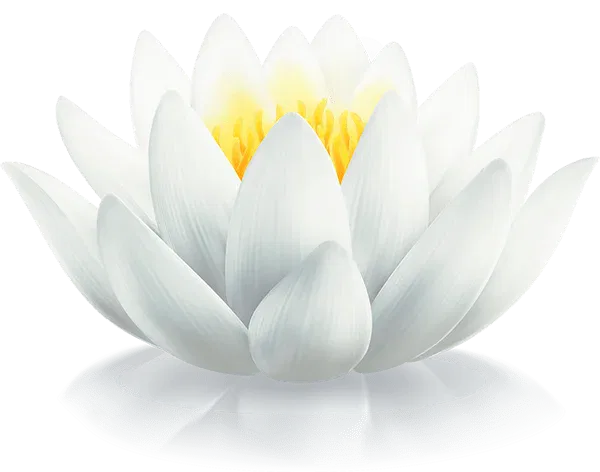 Lotus flower logo